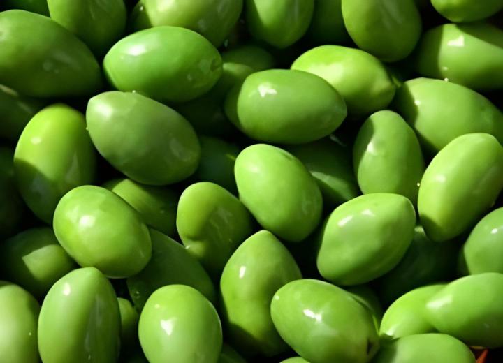 Culture et vente de spiruline à Saint-Paulet-de-Caisson